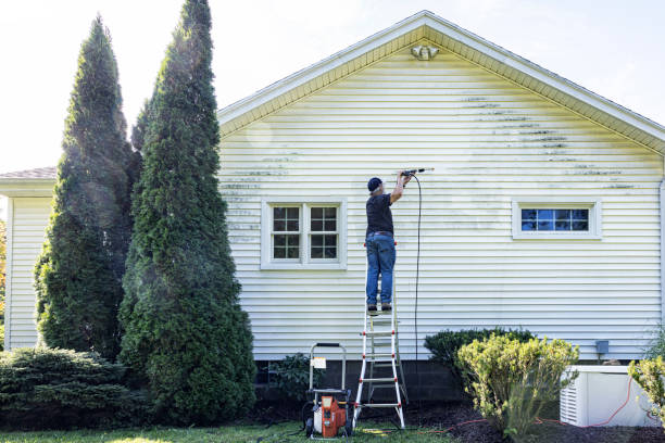 Best Spring Cleaning  in Collinsvle, IL